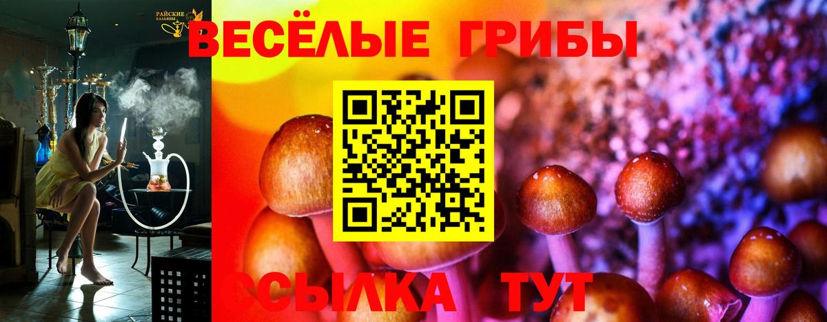 Дальнегорск  Псилоцибиновые грибы ЛСД  Вход с VPN 
